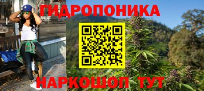 гашик Пушкино
