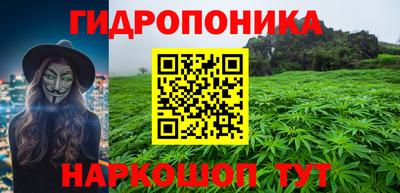 гашик Пушкино