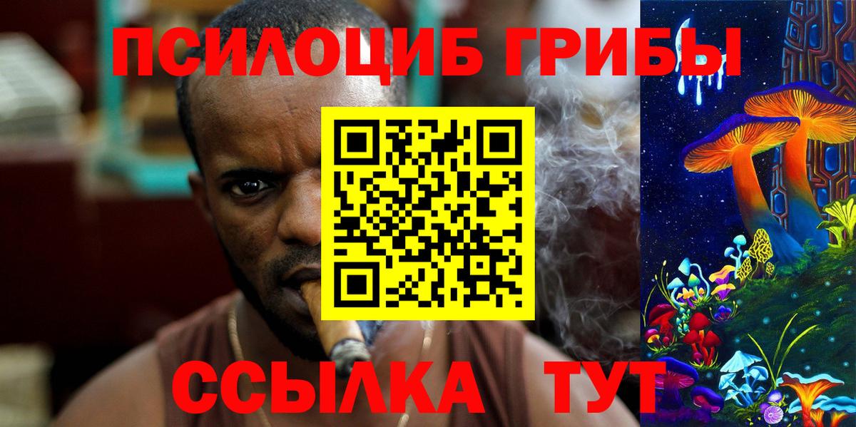 Рославль  Галлюциногенные грибы Cubensis  Вход с VPN 